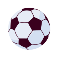 Futsal1